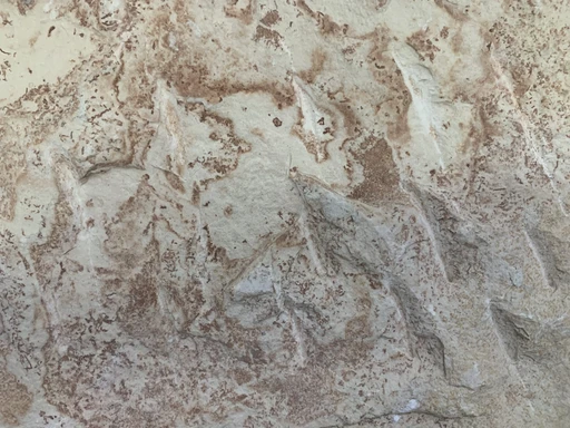 حجر اردني زهري طبزه