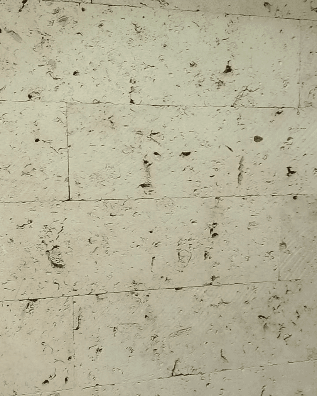 سطح حجر طبيعي بخطوط وعروق مميزة